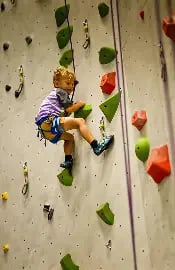 Rock Climbing | School Field Trips Qatar