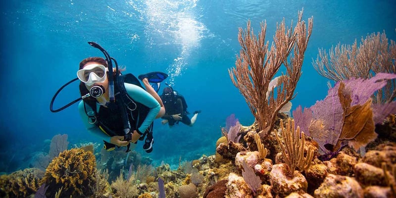 Voyage Privé à Musandam, Oman - Explorez la Beauté