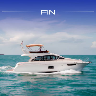 C-52 FIN *NEW MODEL*