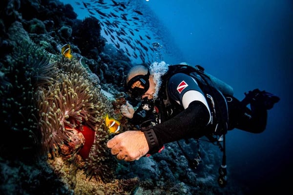 Shared Diving Boat Trip