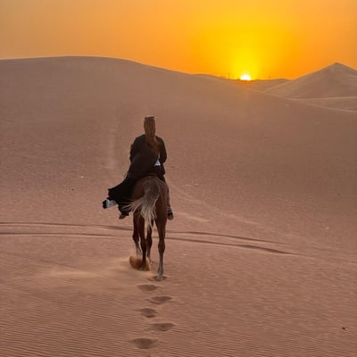 Photos Riding with Horses