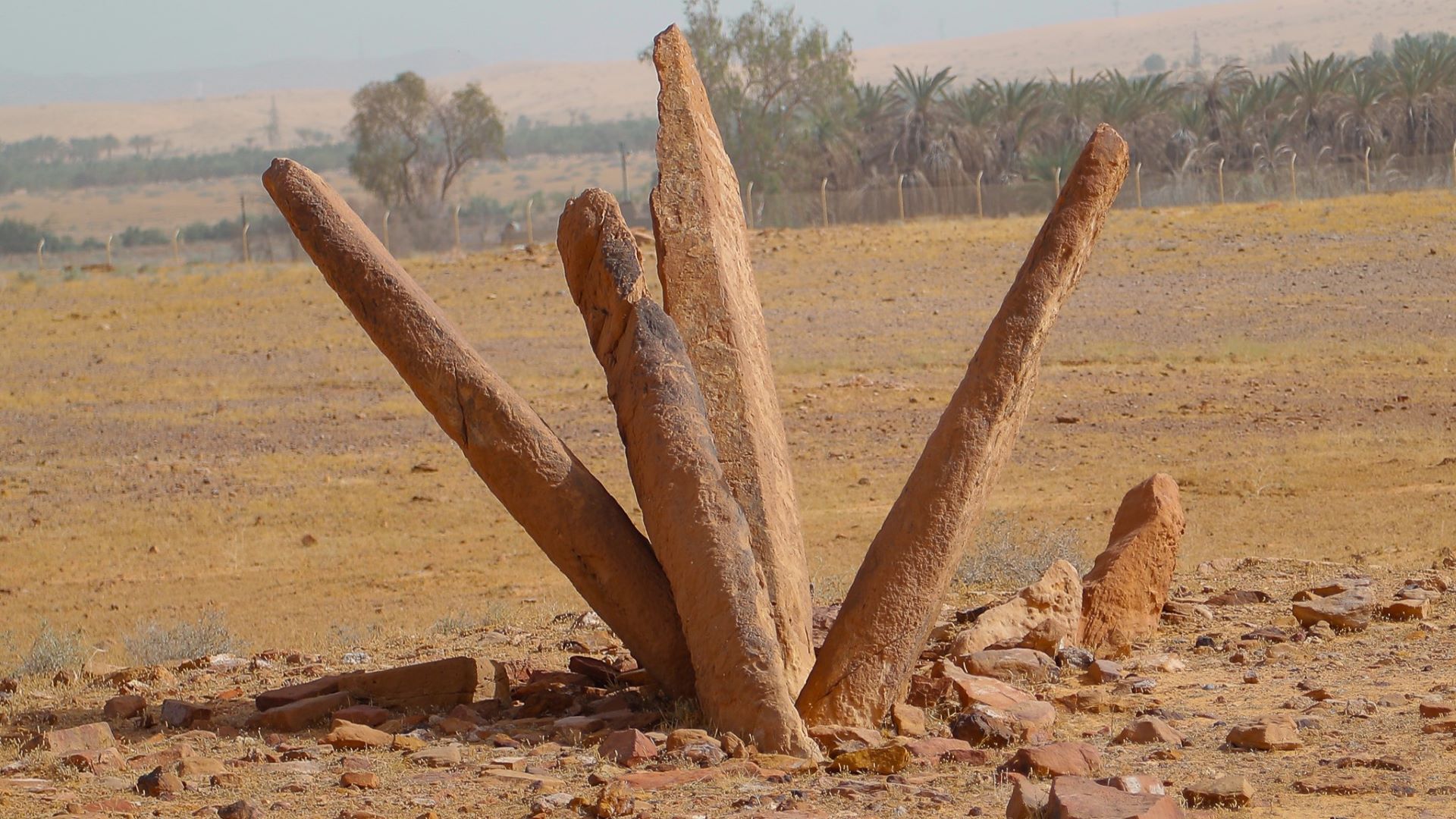 Discover the Cultural Beauty of Al Jouf – Private Tour
