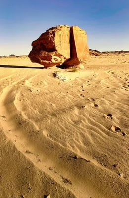 Exciting Desert Safari Adventure with Dune Bashing