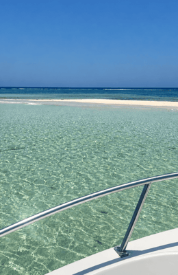 Discover the Beauty of the Red Sea – Shared Boat Trip