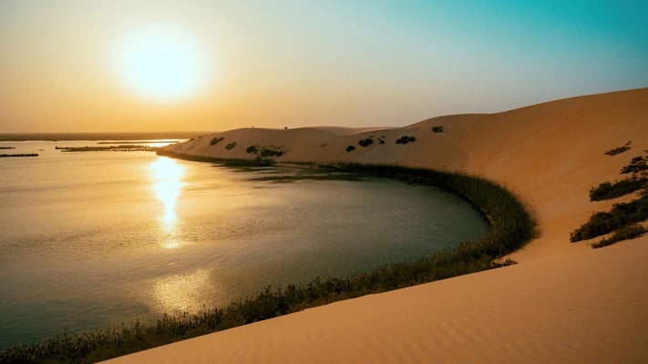 Al-Ahsa Oasis Experience – Private Cultural & Nature Tour