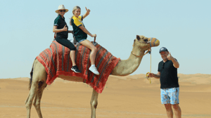 https://ur2h9smi.turpal.com/media/W7T8alHuo0qz1EOvUyKSR4Mv3f5l3FXJvSBuuQrv.png