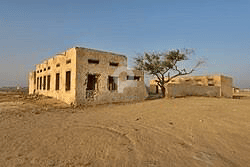 Scenic Al Khor Fish Harbour & Traditional Fishing Port Experience