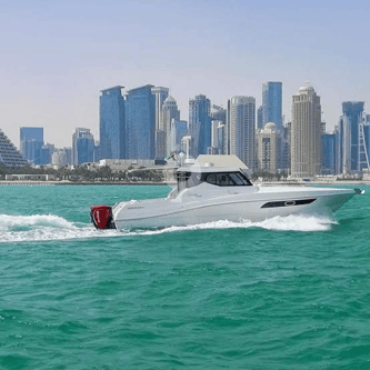 Speed Boat Coastal Discovery Tour
