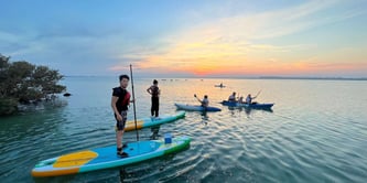 Mangroves Paddleboard Adventure at Al Thakira Mangroves, Qatar