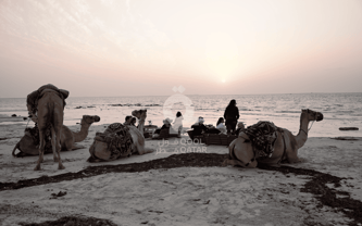 Scenic Northwest Qatar Heritage & Coastal Discovery  Half day Tour
