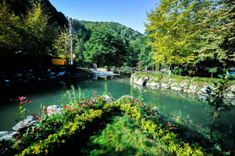 Sapanca & Izmit Adventure Tour from Istanbul with Lunch