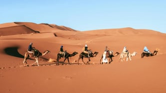 Camel Riding