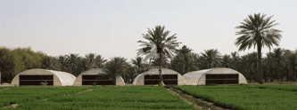 North Sedra Farm Family Farming & Greenhouse Experience in Al Shamal, Qatar