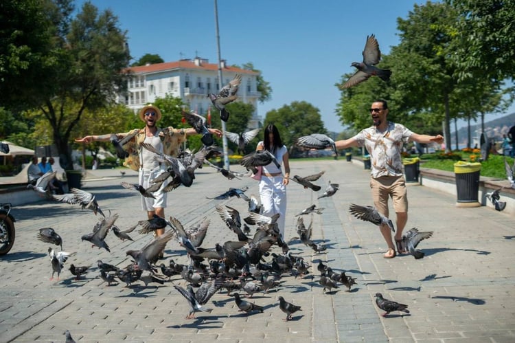 https://ur2h9smi.turpal.com/media/3j83d15mw7RnEUYFTOA09m9lRbywwnp4pODzirsK.jpg