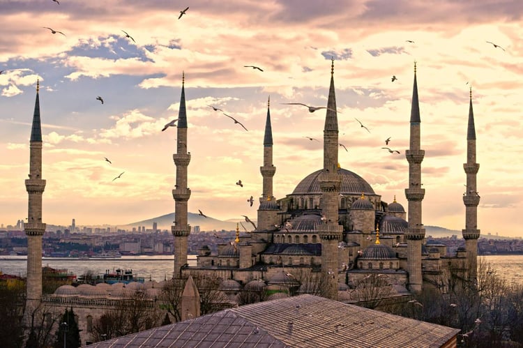 https://ur2h9smi.turpal.com/media/3pIU0lNOyo2tVrDOobT607NLTcd2xookDPCtiON9.jpg