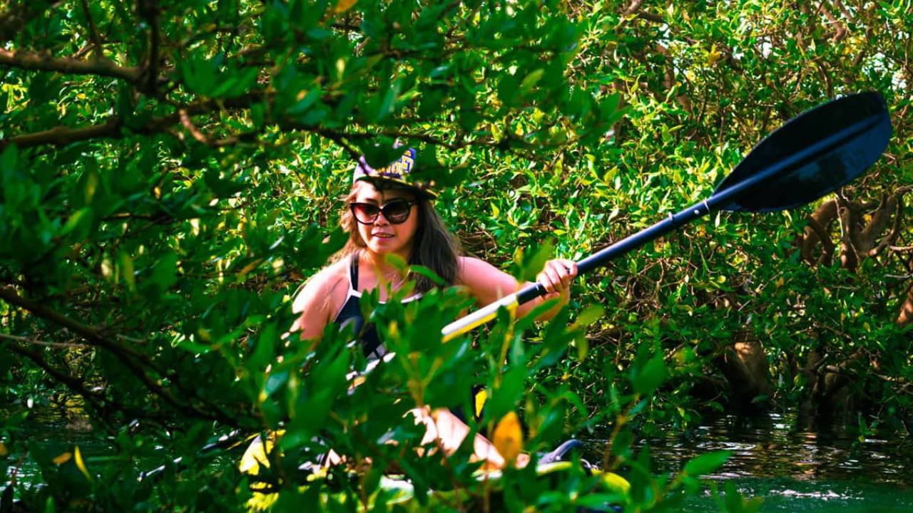 Al Qahma Mangroves Kayaking Tour