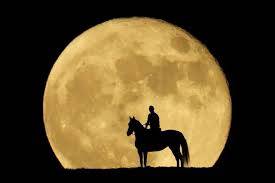 Romantic Full Moon Horse Ride