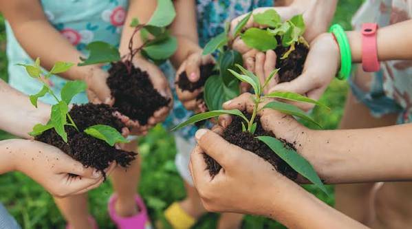 https://ur2h9smi.turpal.com/media/D31shl2QDCpIPYcu1sF2fuJTlVXgecdMjxuLSQG5.jpg