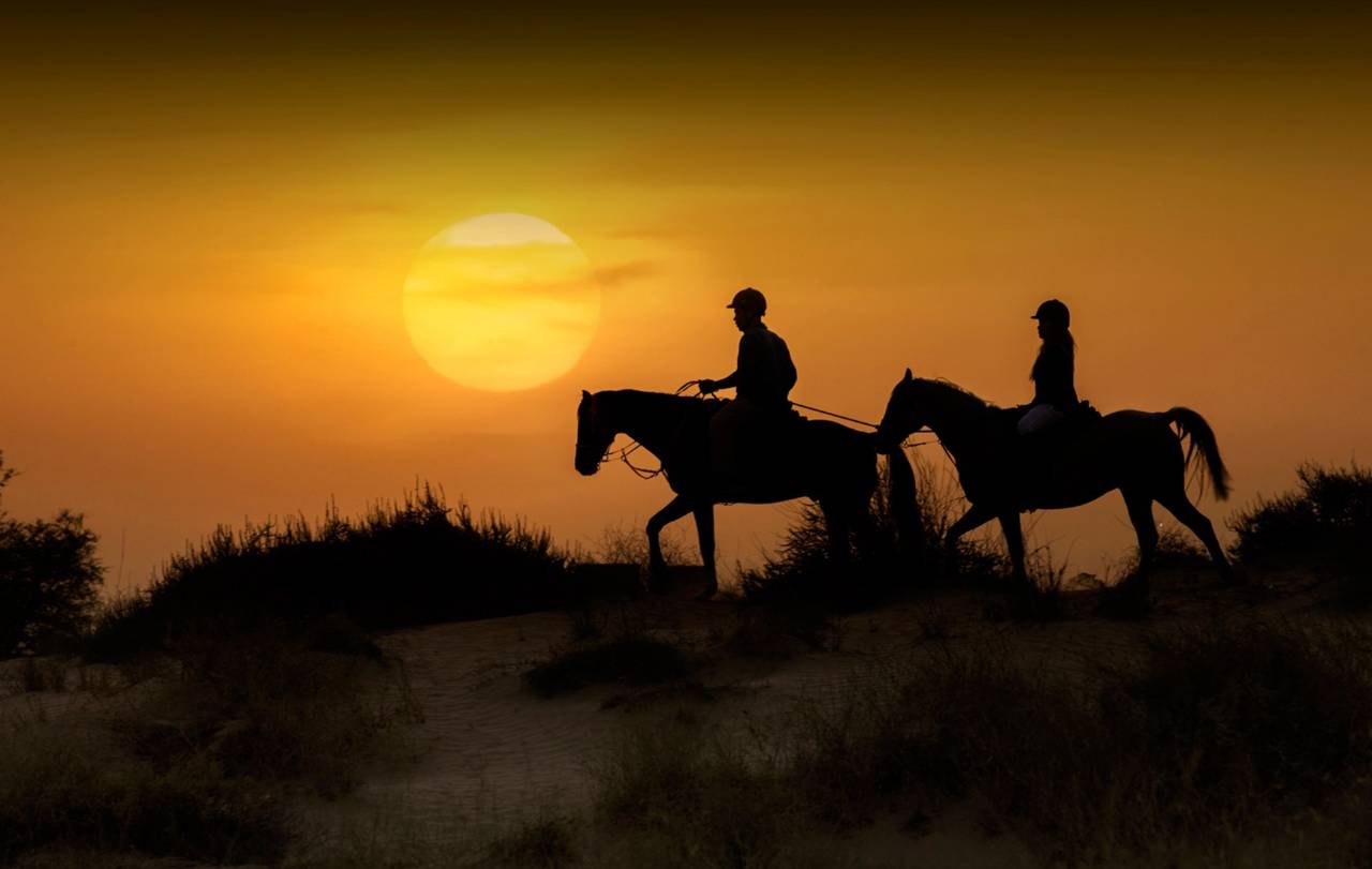 جولة رومانسية على ظهر الخيل تحت ضوء القمر