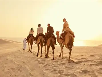 Camel Riding