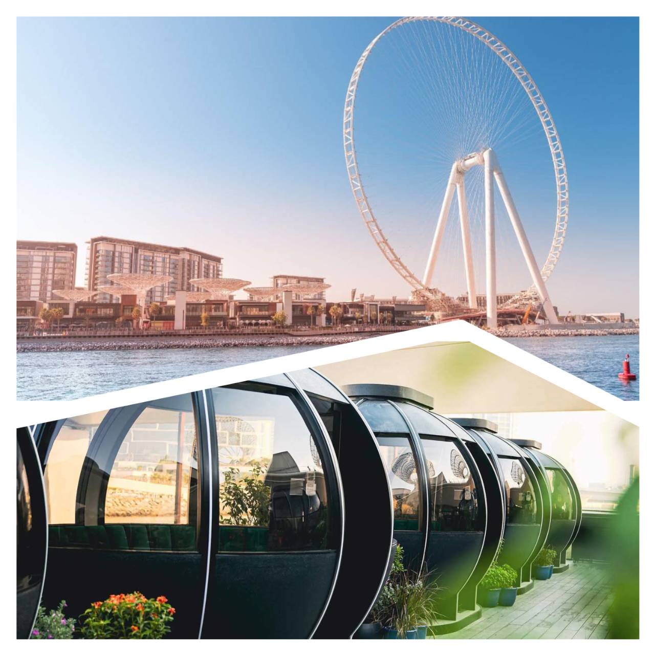 اكتشاف عين دبي مع تجربة تناول الطعام في البودات