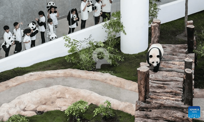 Fun Panda Park Wildlife Experience in Qatar
