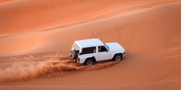 Evening Desert Safari Adventure in Dubai