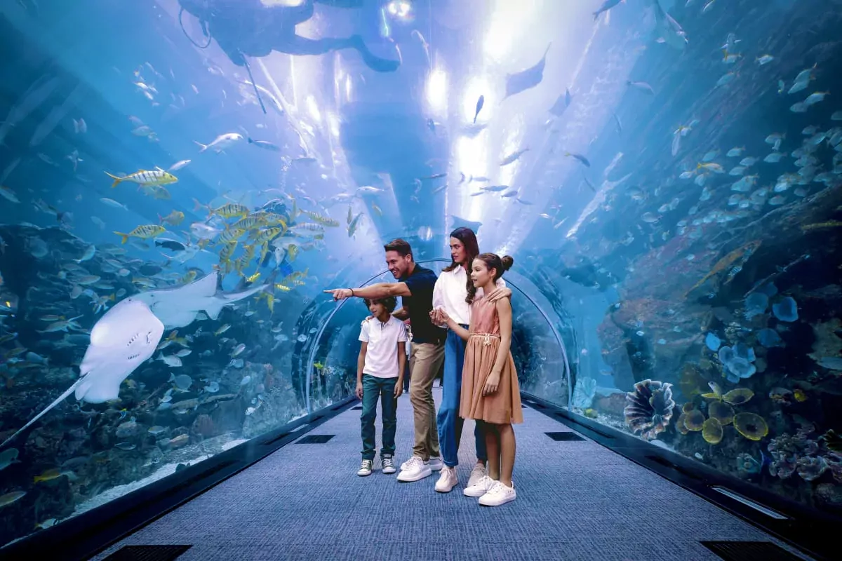 Explore the Dubai Aquarium and Underwater Zoo