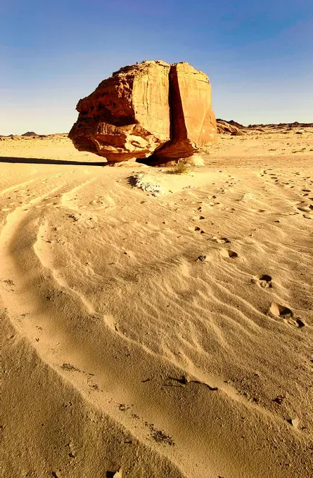 Exciting Desert Safari Adventure with Dune Bashing