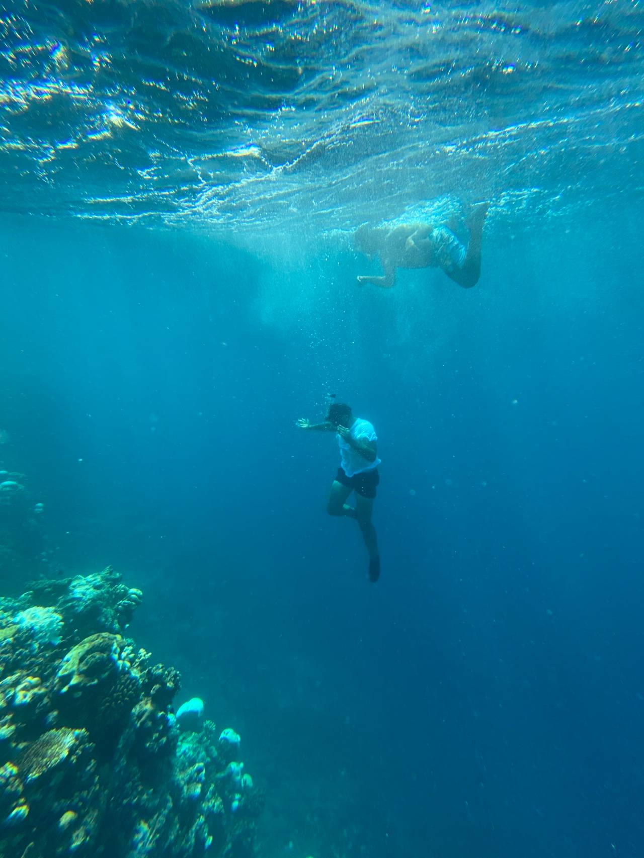 Shared Snorkeling Boat Trip