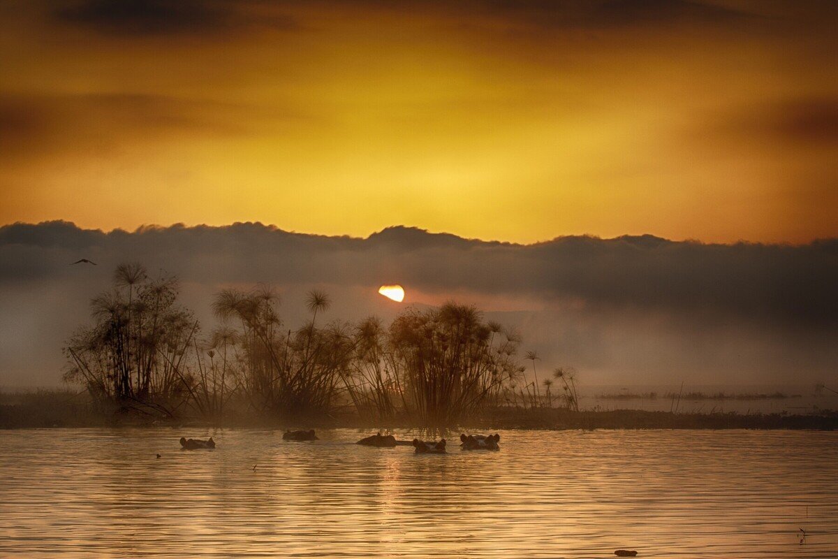 YOUR SPECIAL BUSH SAFARI: 7 Days 6 Nights