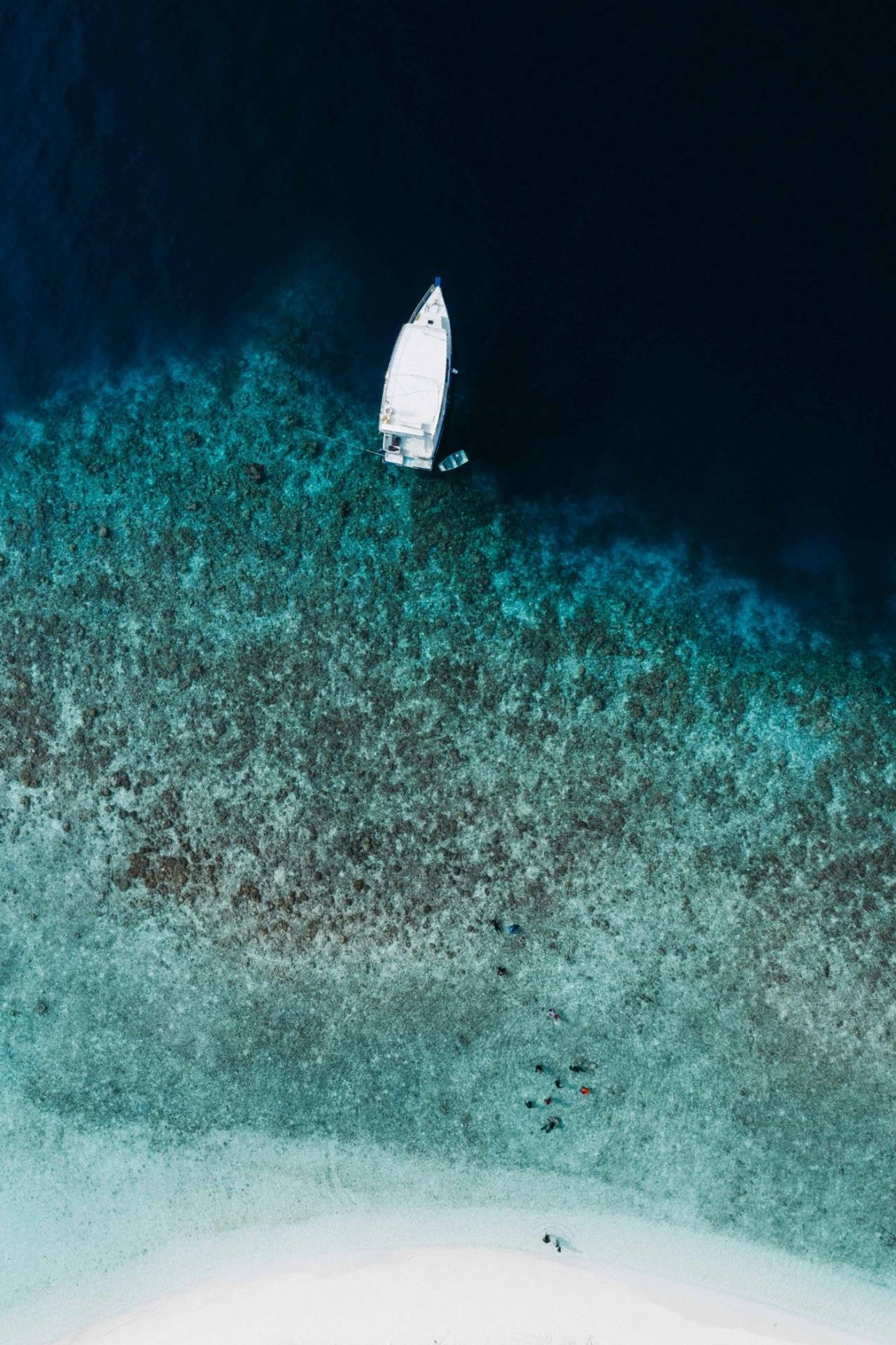https://ur2h9smi.turpal.com/media/yZQU48zR0uSNsfotMBTJqeTdD3K7sruxcwaTa06R.jpg